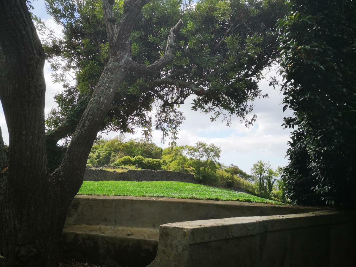 Quinta das Camélias - Açores Ponta Delgada Exterior foto